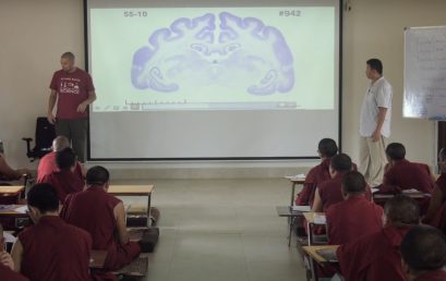 Neuroscience Course 1 [Bonus] (~4h)
