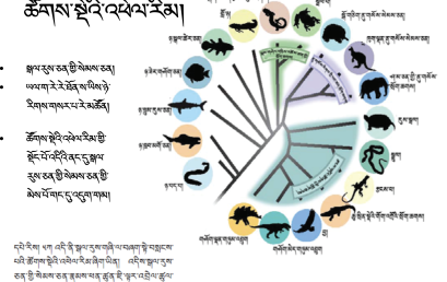 Biology Course 2: Evolution (~10h)