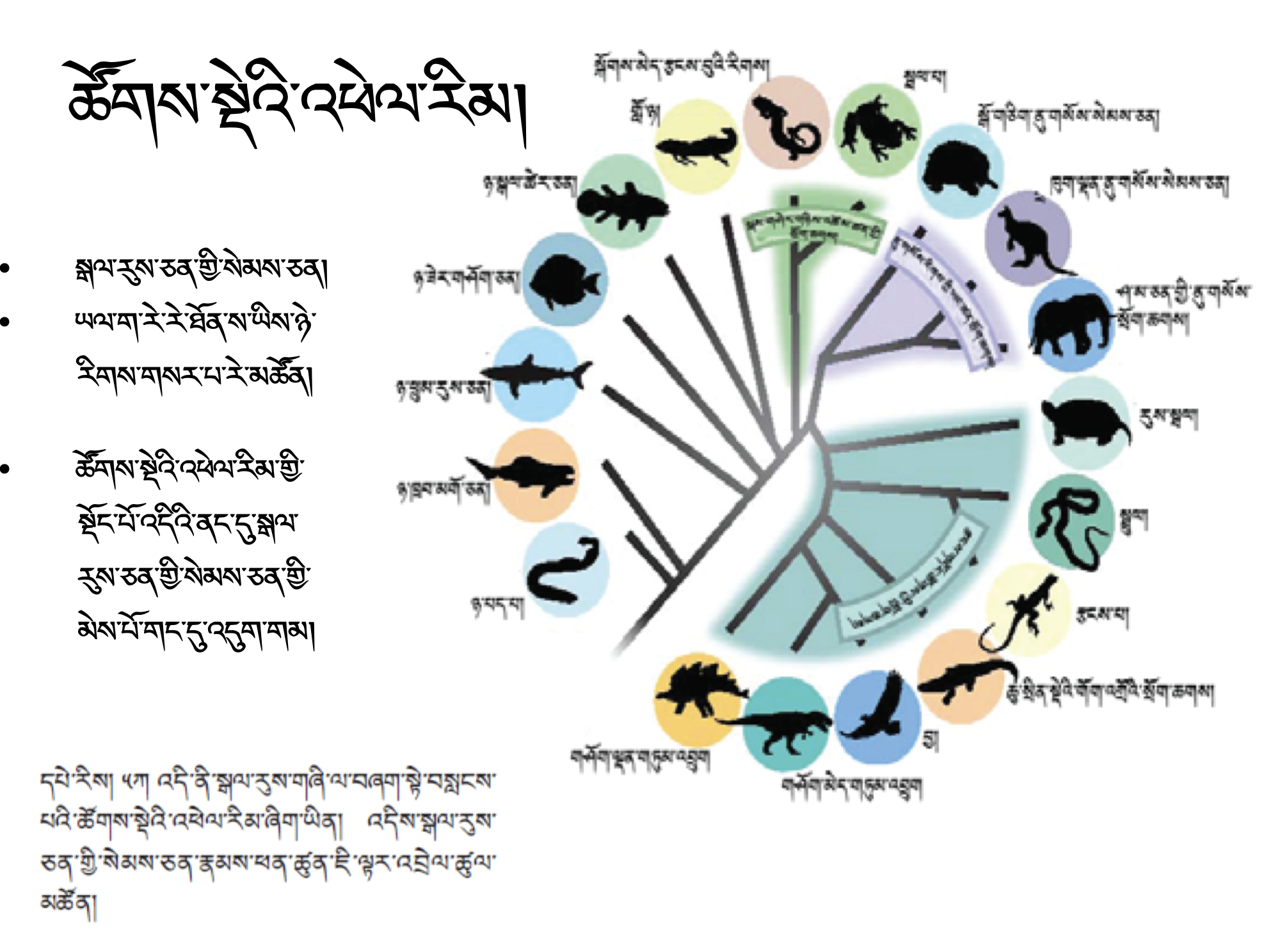 Biology Course 2 (~10h) Biology Course 2 (~10h)