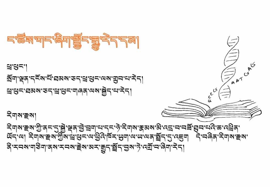 Biology Course 3: Cells & Genes – སྐྱེ་དངོས། སློབ་ཚན་གསུམ་པ། ཕྲ་ཕུང་དང་རིགས་རྫས།