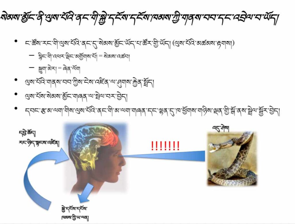 Neuroscience Course 4: Emotions and Memory – སེམས་མྱོང་དང་དྲན་པ།