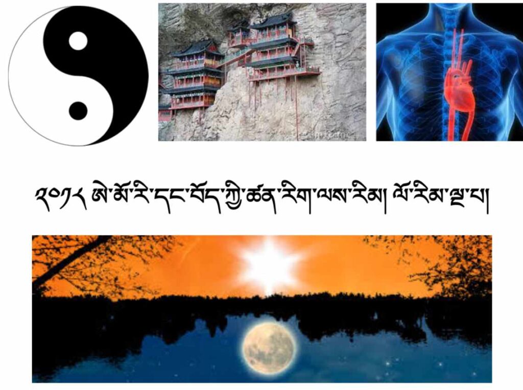 Neuroscience Course 5: Mind/Body and Internal Regulation – ང་ཚོའི་ལུ་ཕུང་དང་ཀླད་པས་བསྟུན་འགྱུར་ཇི་ལྟར་བྱེད་ཚུལ།